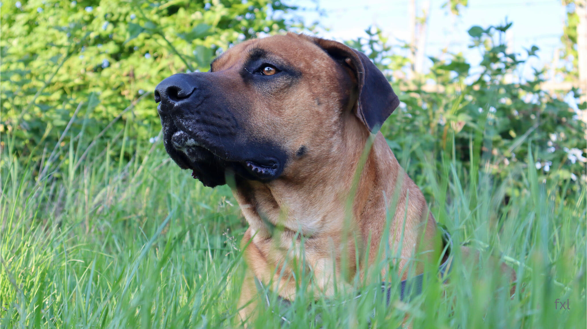 Hessigheim - Canon EOS M200