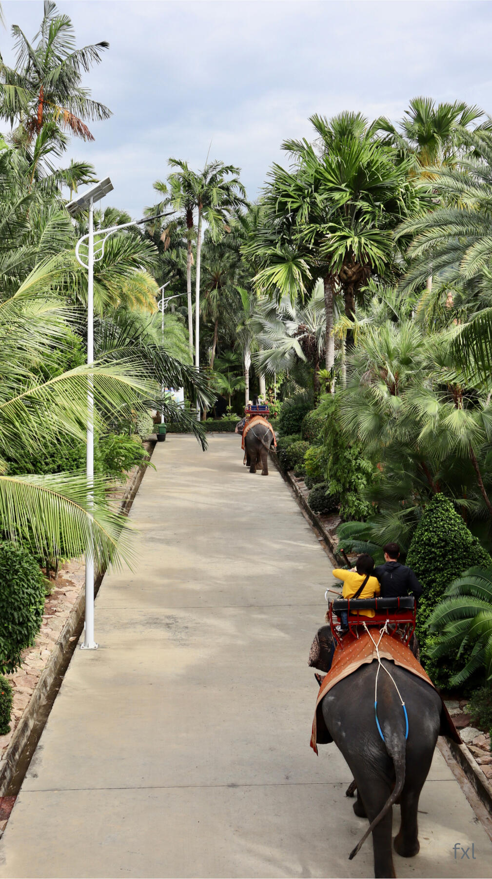 Thailand - Canon EOS M200